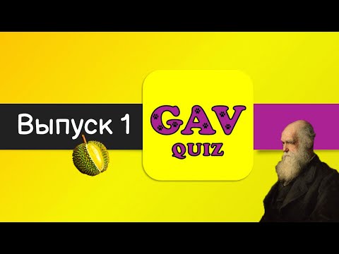 Викторина GAV Quiz - Выпуск №1 #тест #викторина #квиз