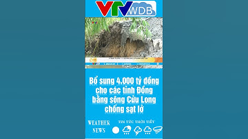 Bổ sung 4.000 tỷ đồng cho các tỉnh Đồng bằng sông Cửu Long chống sạt lở | VTVWDB