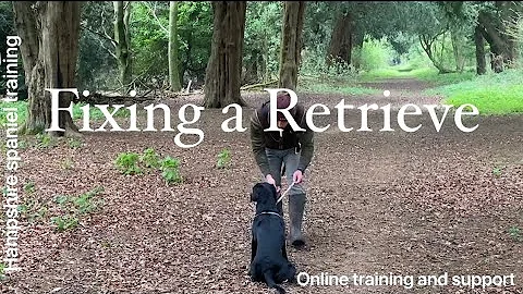 Improving a gun dog retrieve