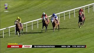 Yariş At Başi Bi̇tti̇ Kv-8Dht Türk Veteri̇ner Heki̇mleri̇ Bi̇rli̇ği̇ Koşusu