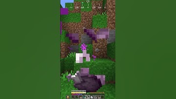 Day 15 of mining straight down until we find diamonds #minecraft #gaming #mining