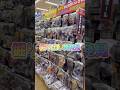 掘り出し物発見！思わぬ出会いがありました！これだからぶらショ辞められない！ドラゴンボール フィギュアを求めて！ #ドラゴンボール #フィギュア #一番くじ #shorts