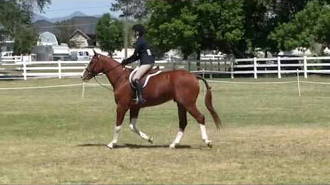 Popular J, Amy Brubaker