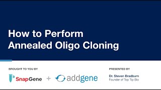 Plasmid Modification by Annealed Oligo Cloning