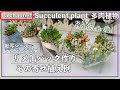 225{多肉植物} リメ缶バッグ👜作ってみた💓寄せ植え例Succulent