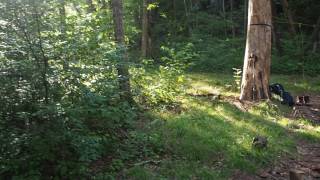 Coosa Backcountry Trail