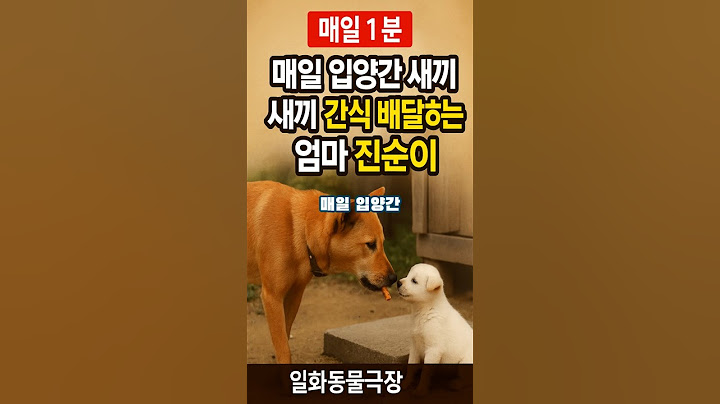 매일 새끼에게 간식배달하는 진돗개 진순이 이야기 실화 동물극장 #감동실화 #명언 #영감을주는이야기