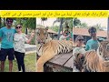 New clicks of manal khan and ahsan mohsin from tiger park phuket thailand