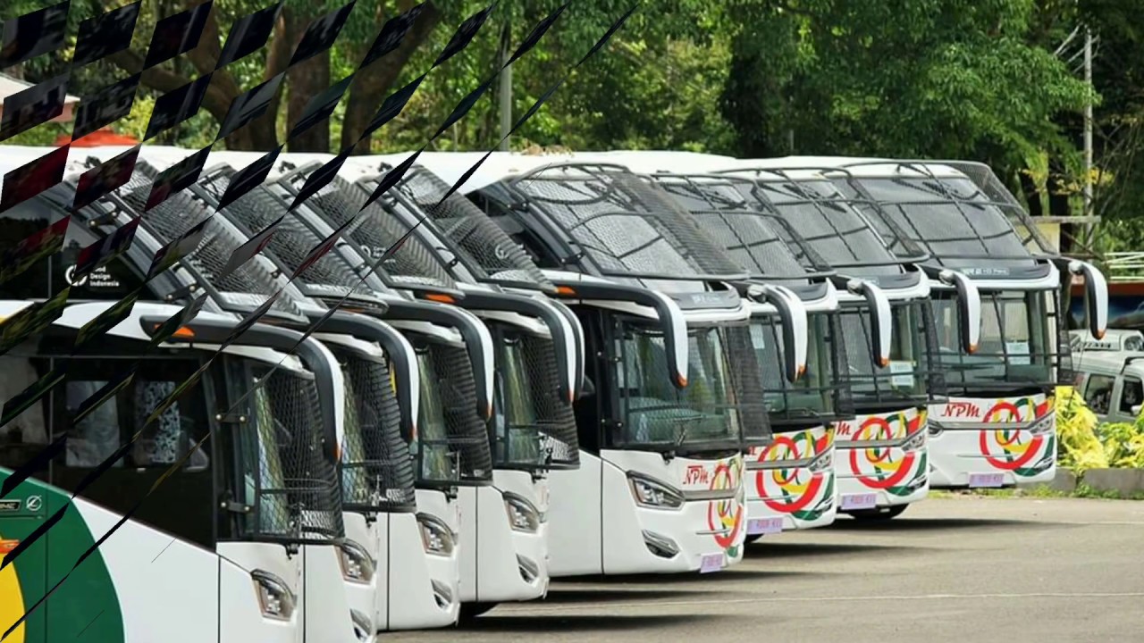 Lounching 10 unit Bus npm series V terbaru - YouTube