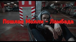 Vignette de la vidéo "Клип Пошлая Молли - Ламбада"