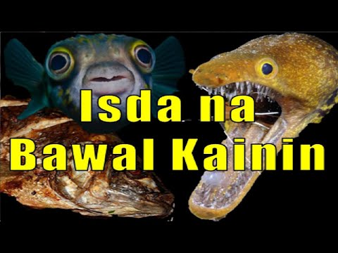 Video: River eel fish: mga uri, pinagmulan at pamumuhay