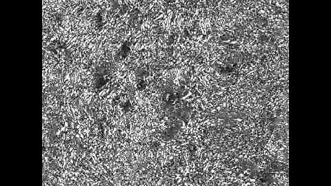 VISUAL COMPUTE - CUDA experiment II - cell grid kernel