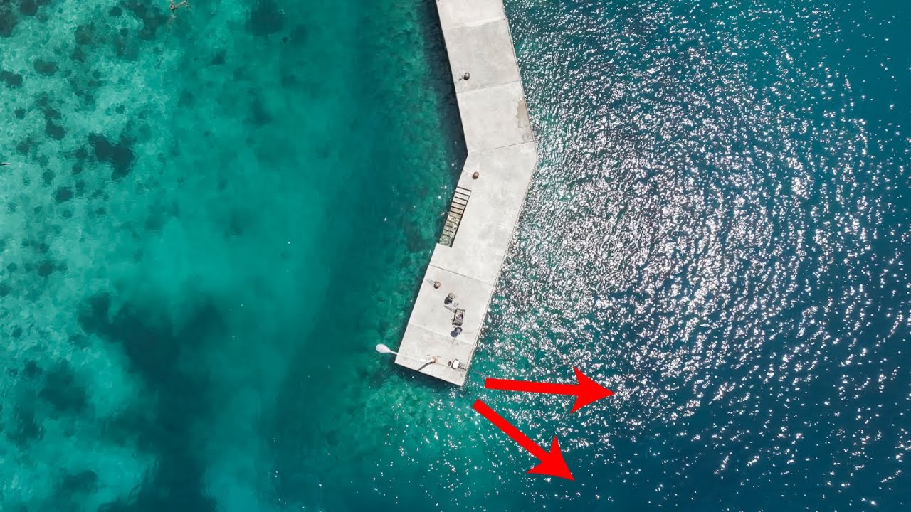 真夏限定であの高級魚が爆沸きする堤防で餌をぶっ込むと…次々に竿が曲がる