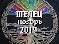 Телец. ВАЖНЫЕ СОБЫТИЯ НОЯБРЯ. ТАРО ПРОГНОЗ на ноябрь 2019 г. Расклад 12 домов гороскопа