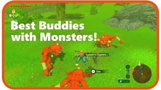 Be Friends with Monsters - The Legends of Zelda Breath of the Wild
