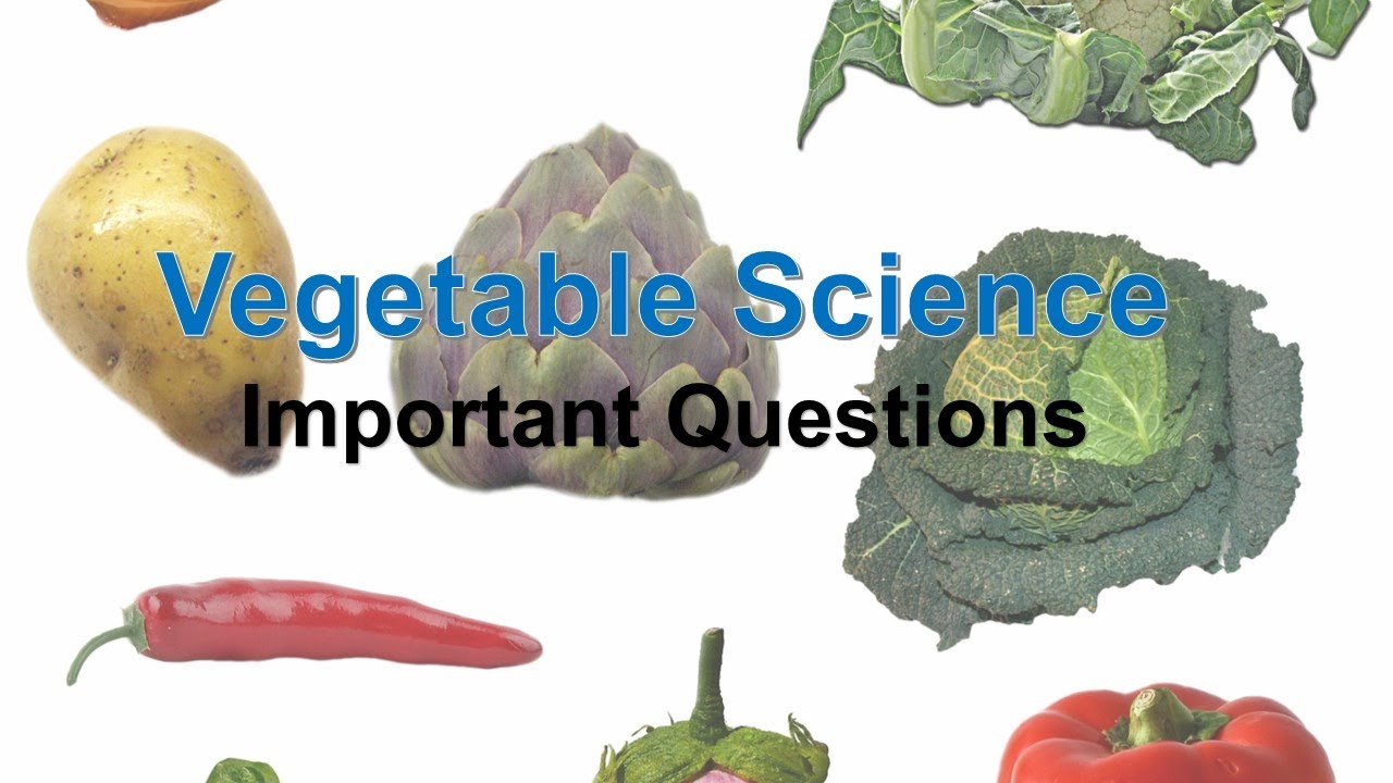 research on vegetable science