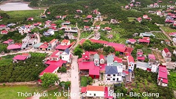 NGày Hội Vải THiều Lục Ngạn Tổ CHức Ở Đâu - Lúc Nào ? I Núi Đồi Lục Ngạn