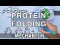 Protein Folding Mechanism