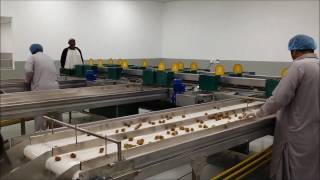 GREENTECHNOLOGY DATES SORTING Al Mutlaq  N1