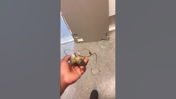 Service call to install txv #electric #hvac #shorts