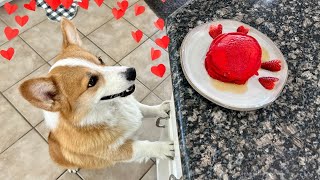Corgis Make Valentine's Day Pancakes