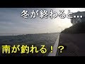 【ふれーゆ裏】3月中旬！北で魚が釣れだしたなら南の方ならもっと釣れるはず！【2019.03.18】