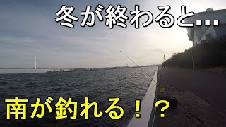 【ふれーゆ裏】3月中旬！北で魚が釣れだしたなら南の方ならもっと釣れるはず！【2019.03.18】
