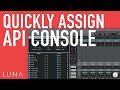 Quickly Assign API Console to All Tracks | LUNA