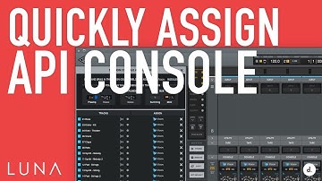 Quickly Assign API Console to All Tracks | LUNA