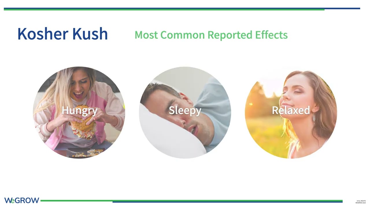 Strain Spotlight: Kosher Kush - WeGROW Cannabis Genetics