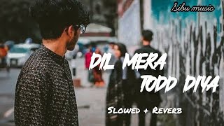 Dil Mera Todd Diya (Slowed  Reverb)  | Sad song | Hindi Song | 