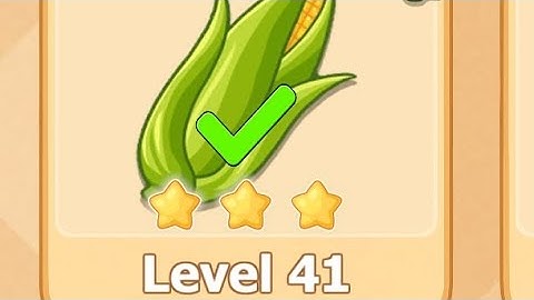 cookzii level 41