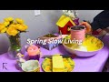 Cozy days of april  slow living vlog