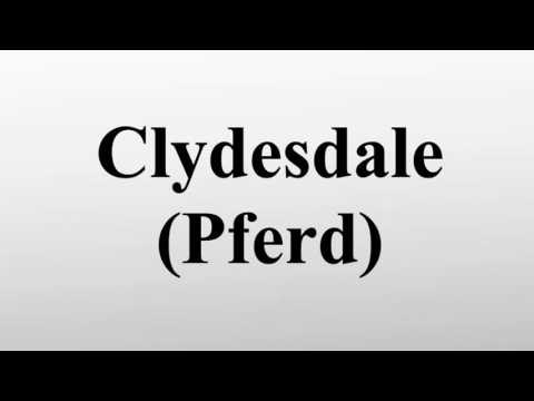 Video: Wo leben Clydesdale-Pferde?