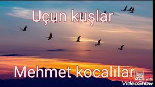 Mehmet Kocalılar Cümle Alemi Yaratan Resimi