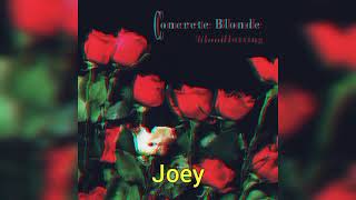 Video thumbnail of "Concrete Blonde - Joey (legendado) (tradução)"