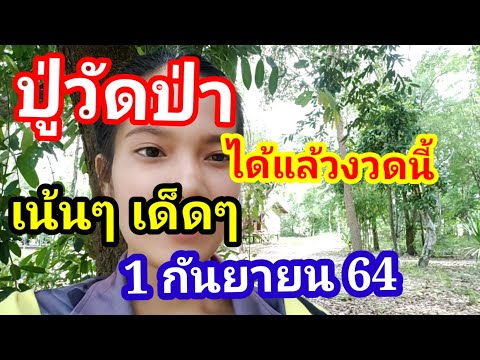 ปู่วัดป่า-ได้แล้วงวดนี้-เน้นเน