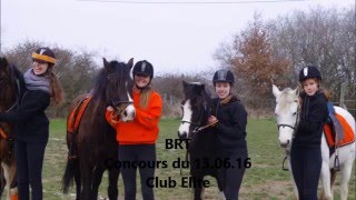 Pony Games || BRT || Club Elite || WRR screenshot 1