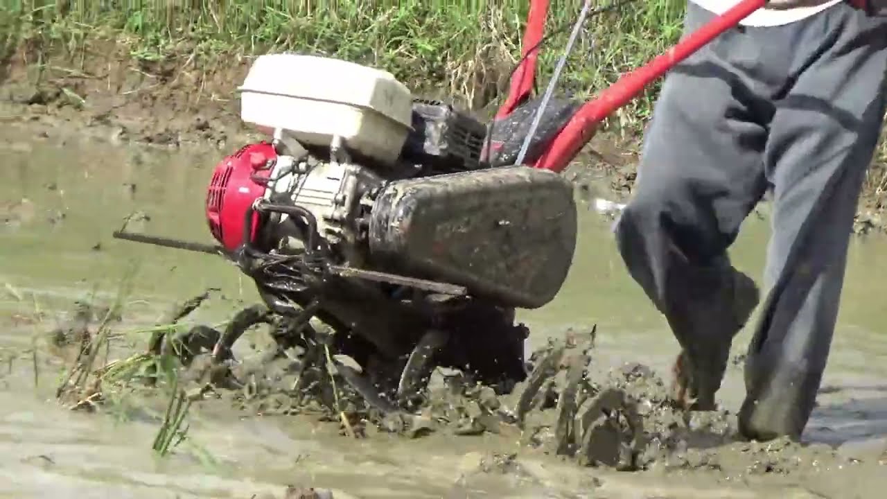 Mesin Traktor Mini Cultivator Cakar Baja Untuk Lahan Kering & Basah