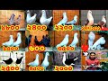 а ёа а ља а Їа ја а а а а ѕа а а а ёа ѕа џа їа а а а Ѓа а а а їа Ёа Ѓа Ё а ёа а ља а Їа ја а а а а ѕа а а Іа ѕа а а а ї а а а Ѓа а а а їа Ёа Ѓа Ё а ёа а ља а Їа ја а а а а ѕа а а а ёа ѕа џа їа а а а Ѓа а а а їа Ёа Ѓа Ё а ёа а ља а Їа ја а а а а ѕа а а Іа ѕа а а а ї а а а Ѓа а а а їа Ёа Ѓа Ё