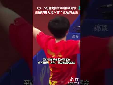 历史第一人! 王楚钦战胜樊振东，夺得杭州亚运会乒乓球男单冠军。他也成为首个在一届亚运会中团体、男双、混双、男单全部夺冠的中国男乒选手。 #hangzhouchina #杭州亚运会