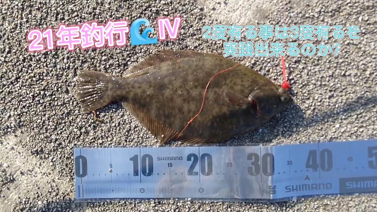 21年釣行 カレイ釣り 白子漁港 白子釣り桟橋 マコガレイ 青イソメ アナゴ ブラクリ Youtube 21年釣行 カレイ釣り 白子漁港 白子釣り桟橋 マコガレイ 青イソメ アナゴ ブラクリ Youtube