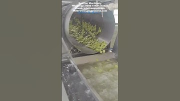 Automatic Kiwi Fruit Sorting Washing Machine