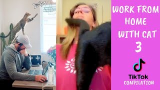 Oh No! Work from home with cats- Part 3 #tiktok compilation| Kerja Dari Rumah | ohhooman by Oh Hooman 4,968 views 2 years ago 3 minutes