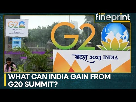 India G20 Summit 2023: India looks to deepen trade ties with member nations | WION Fineprint