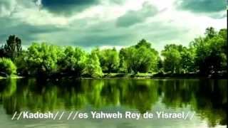 Video thumbnail of "HERMOSA HALLEL PARA ELOHIM: ¡ VENIMOS ANTE TÍ YHWH TZEVAOT (YAHWÉH DE LOS EJÉRCITOS) !!!"