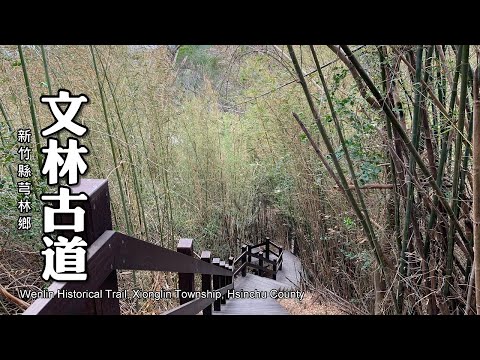 聽竹海的聲音！不輸日本京都嵐山！新竹芎林～文林生態古道