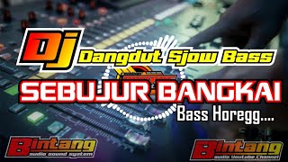 DJ SEBUJUR BANGKAI || DJ DANGDUT SLOW BASS