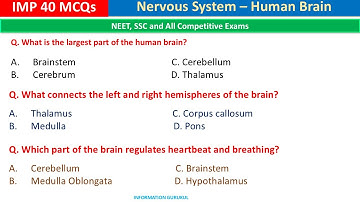 Meerkeuzevragen over het zenuwstelsel Top 40 | Functie van de hersenen | Vragen en antwoorden ove...