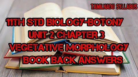 11th std biology-botony unit 2 chapter 3 vegetative morphology book back answers #BOOKBACKANSWERS